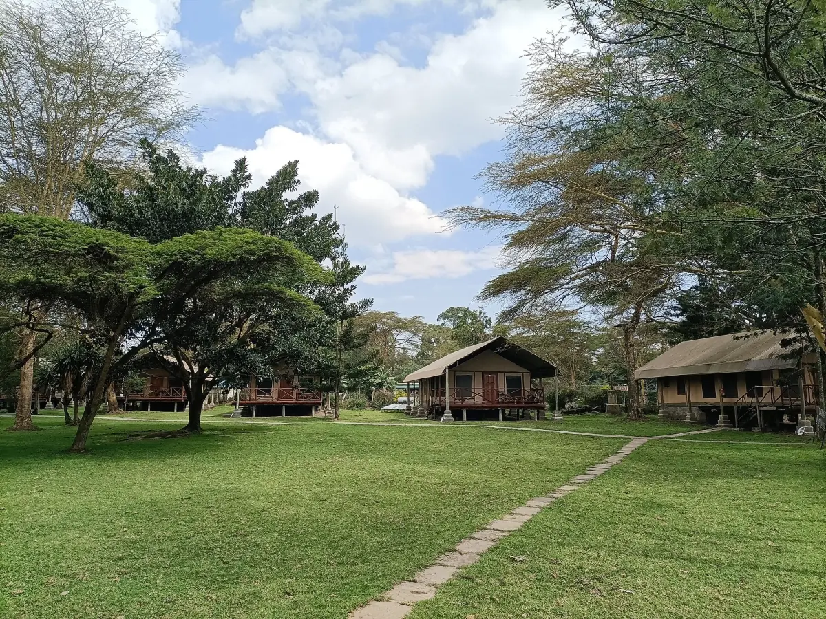 Stone garden path leading to wooden cottages under acacia trees