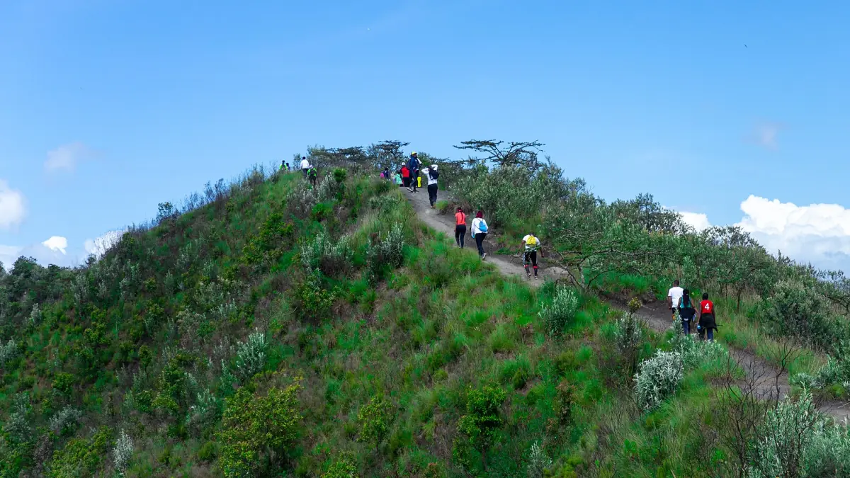 Hikers walking along the green crater rim trail of Mount Longonot