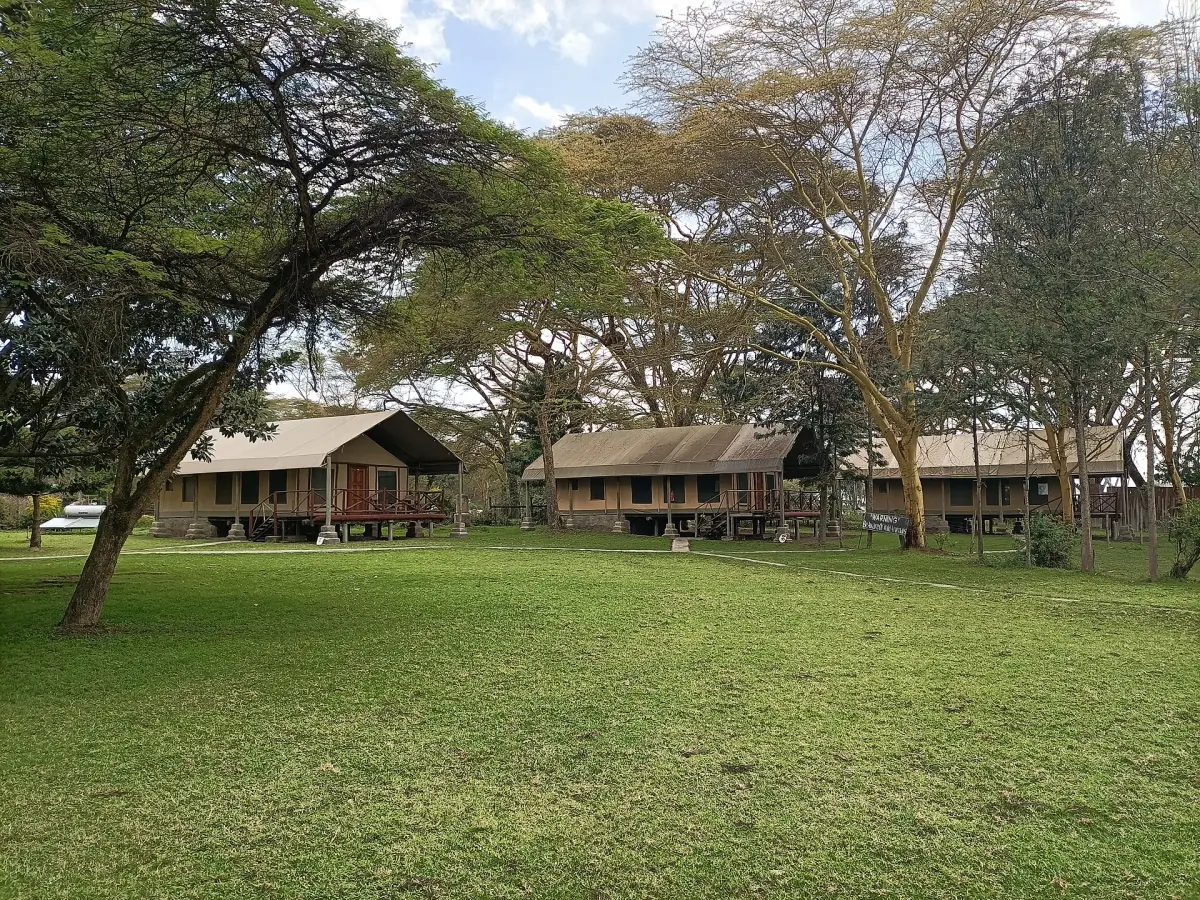 Wooden cottages on a green lawn with acacia trees near the lake
