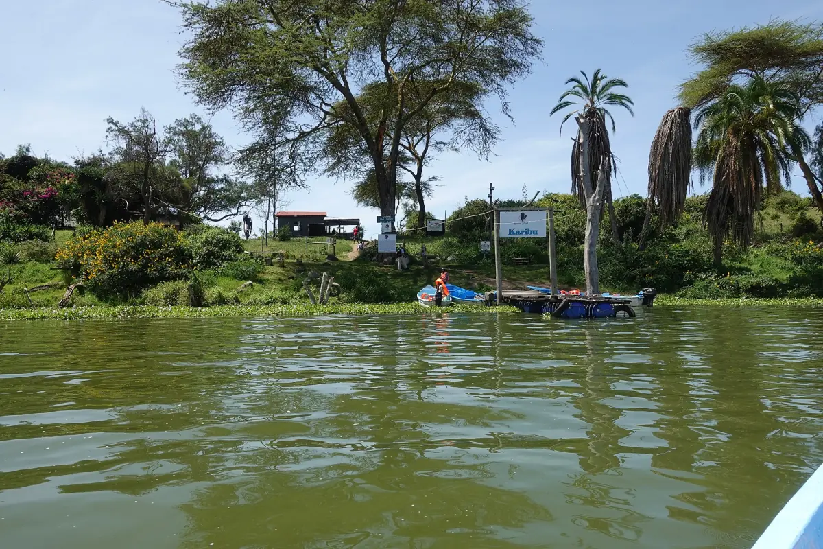 Boat at the landing on Crescent Island with palms and green trees